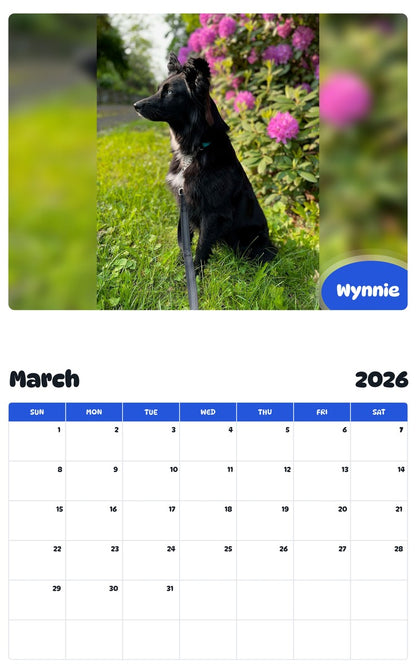 November 2025 - October 2026 Wynnie - Pawidols Pet Calendar