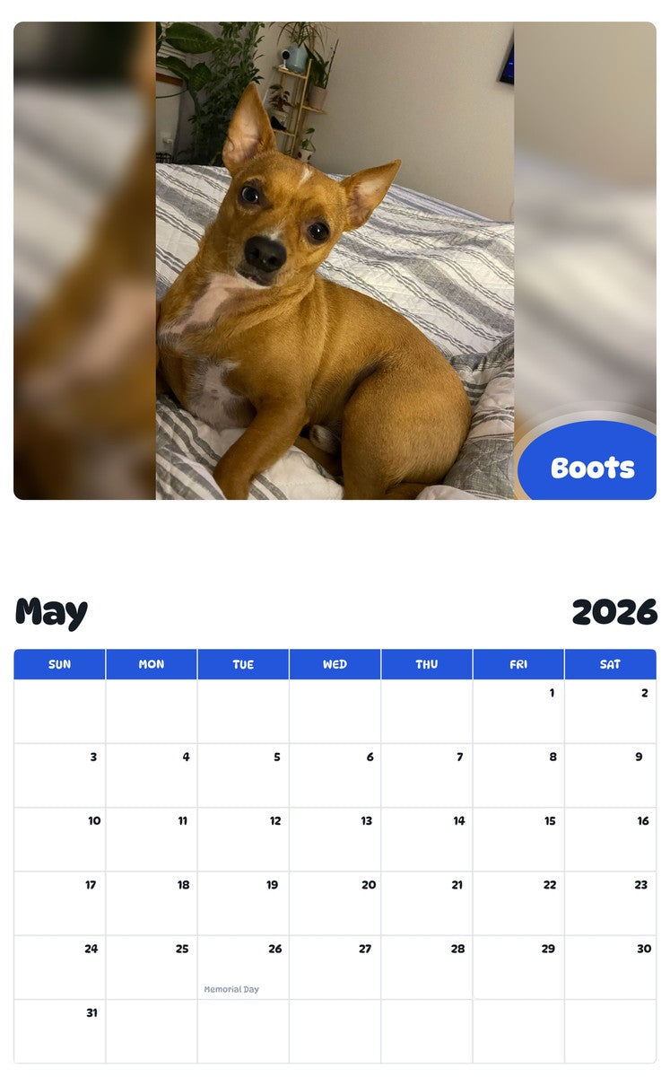 2026 - 2027 Boots - Pawidols Pet Calendar