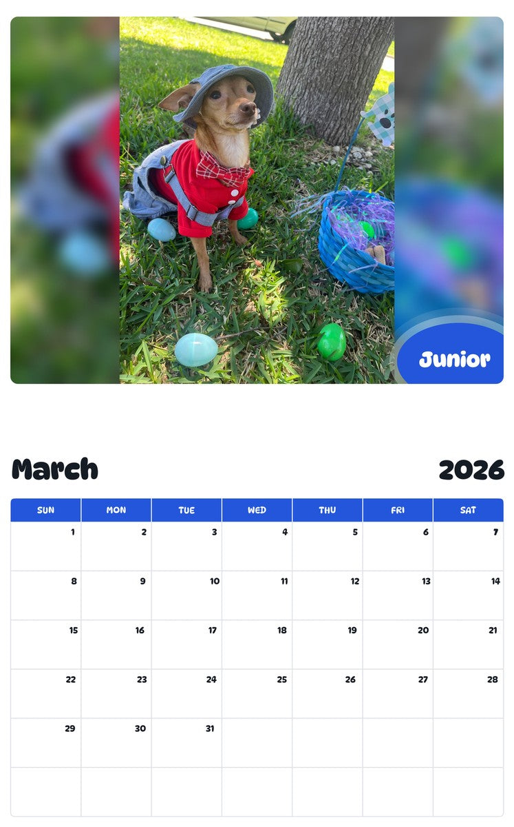 November 2025 - October 2026 Junior - Pawidols Pet Calendar