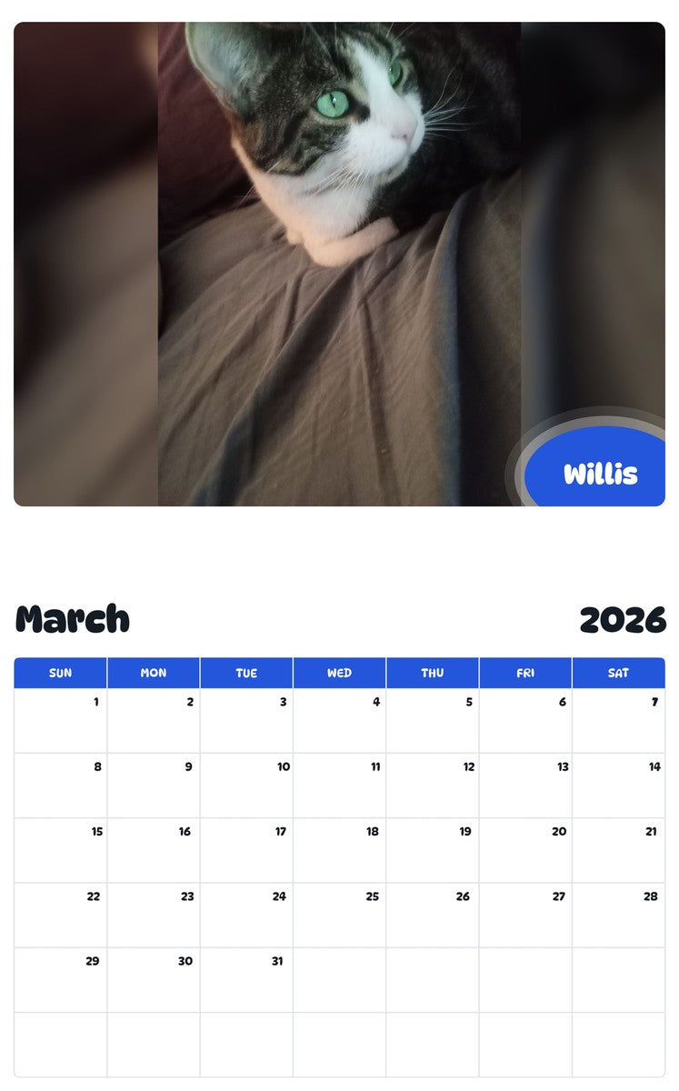 November 2025 - October 2026 Willis - Pawidols Pet Calendar