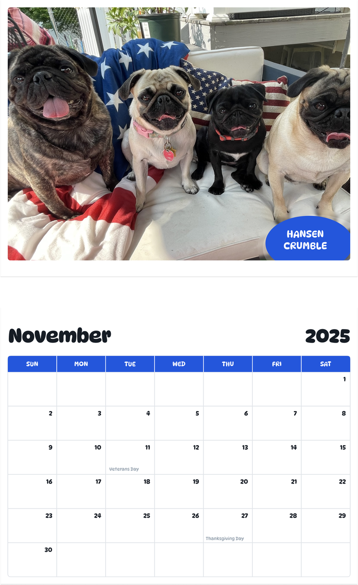 July 2025 - June 2026 Hansen grumble - Pawidols Pet Calendar