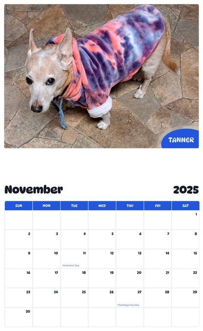 July 2025 - June 2026 Tanner - Pawidols Pet Calendar