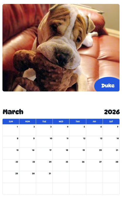 November 2025 - October 2026 Duke - Pawidols Pet Calendar
