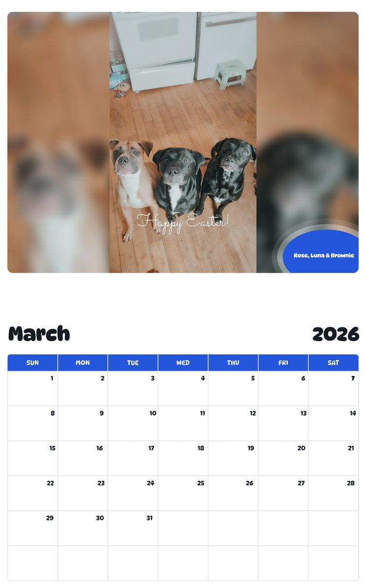 November 2025 - October 2026 Rose, Luna & Brownie - Pawidols Pet Calendar