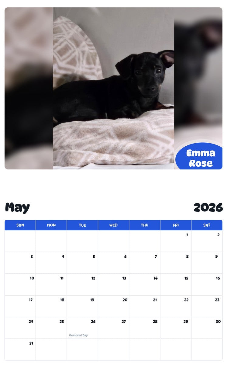 2026 - 2027 Emma Rose - Pawidols Pet Calendar