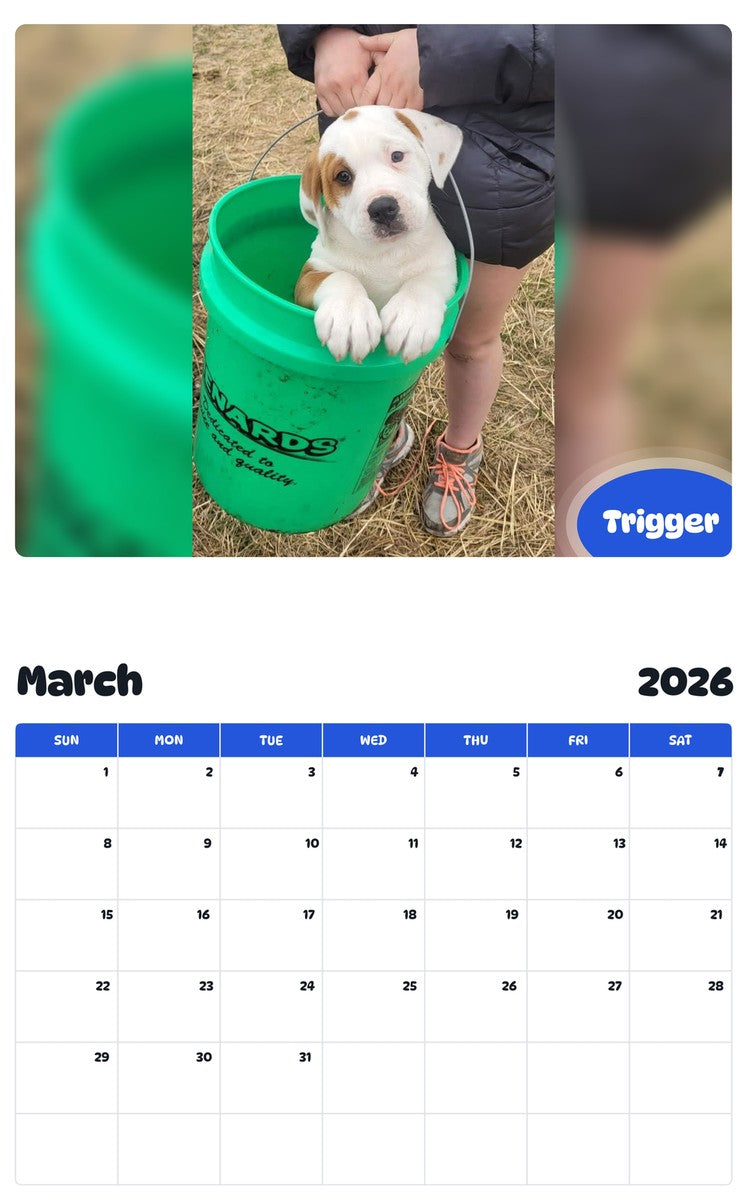 November 2025 - October 2026 Trigger - Pawidols Pet Calendar