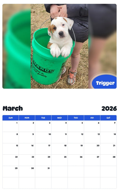 November 2025 - October 2026 Trigger - Pawidols Pet Calendar