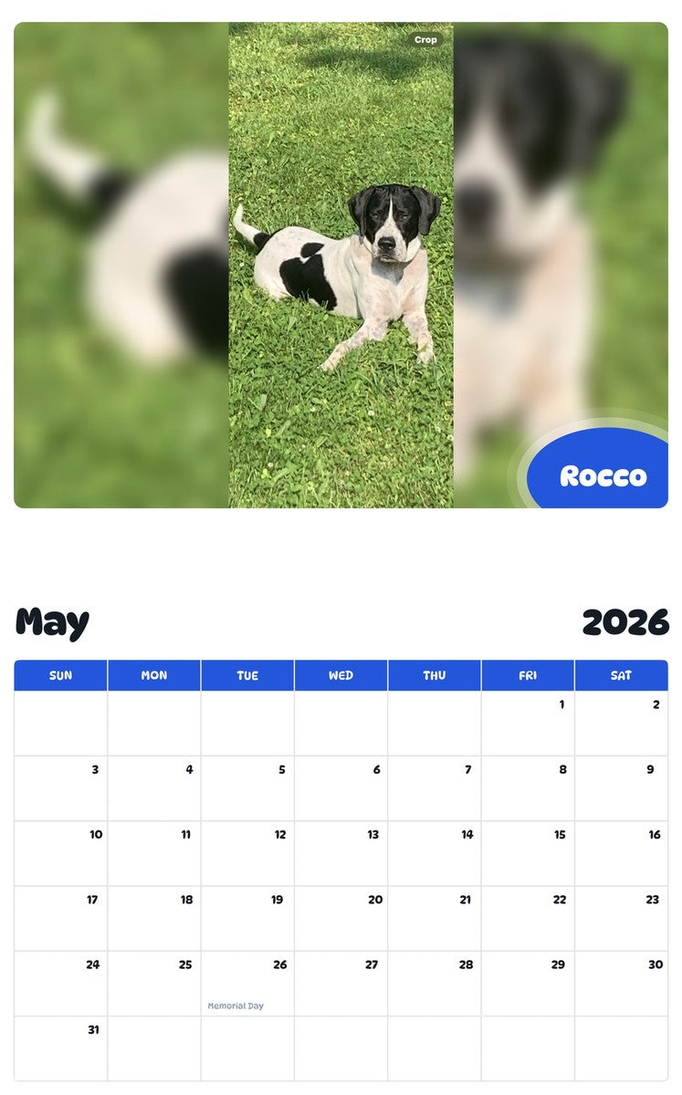 2026 - 2027 Rocco - Pawidols Pet Calendar