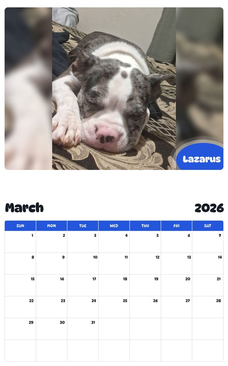November 2025 - October 2026 Lazarus - Pawidols Pet Calendar