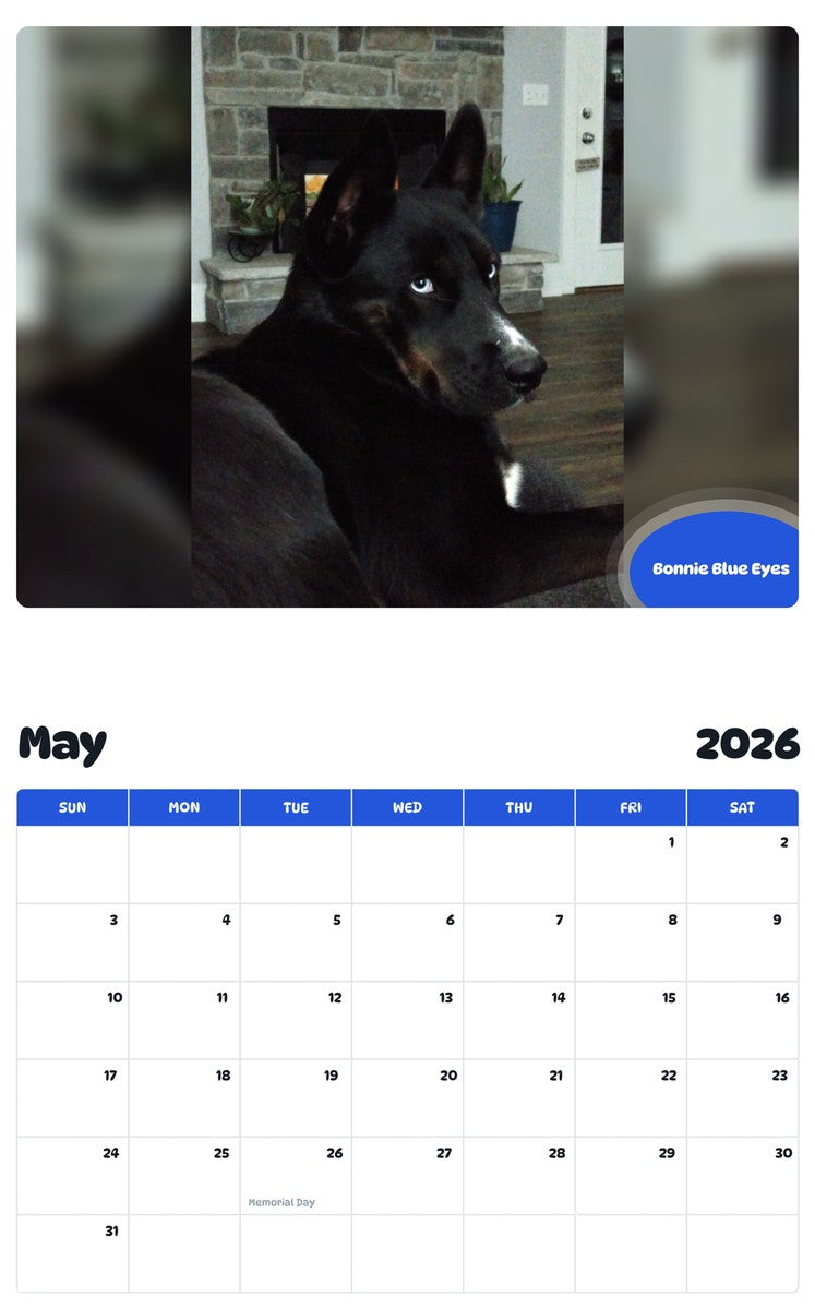 2026 - 2027 Bonnie Blue Eyes - Pawidols Pet Calendar