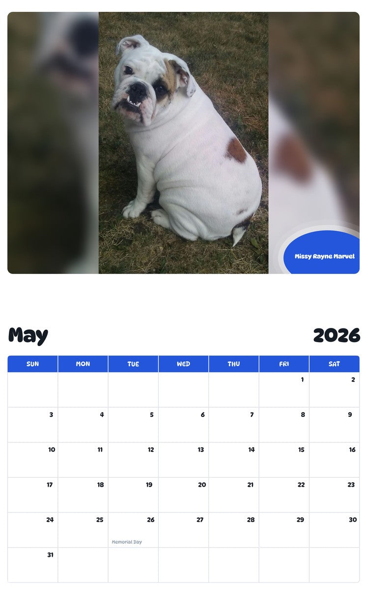 2026 - 2027 Missy Rayne Marvel - Pawidols Pet Calendar