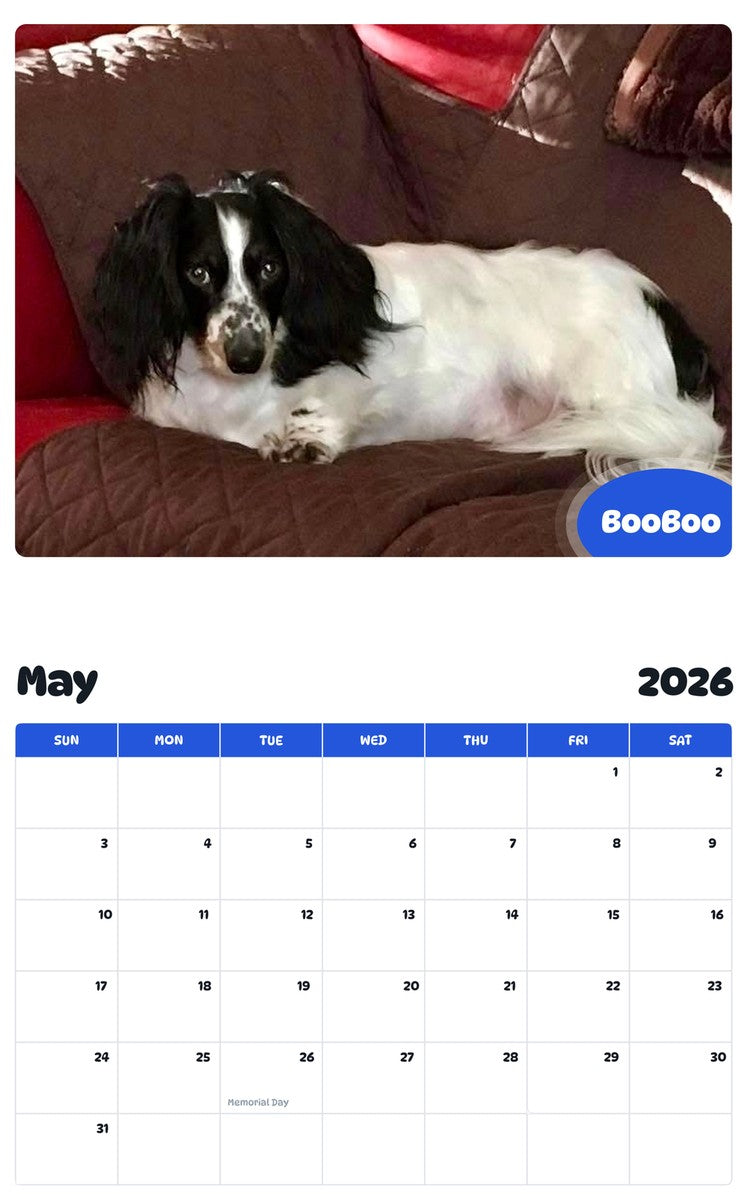 2026 - 2027 BooBoo - Pawidols Pet Calendar