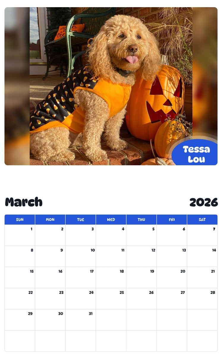 November 2025 - October 2026 Tessa Lou - Pawidols Pet Calendar