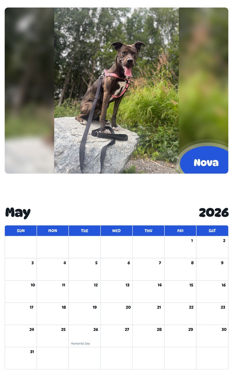 2026 - 2027 Nova - Pawidols Pet Calendar