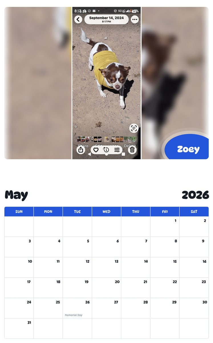 2026 - 2027 Zoey - Pawidols Pet Calendar