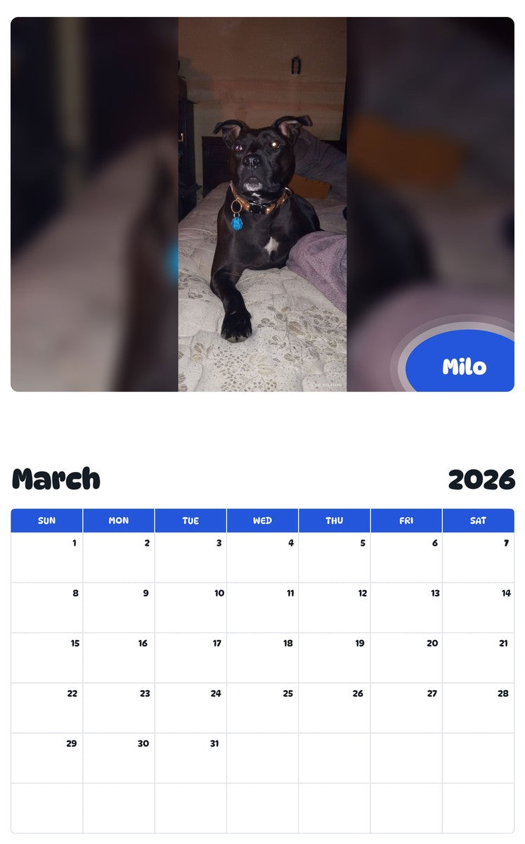 November 2025 - October 2026 Milo - Pawidols Pet Calendar