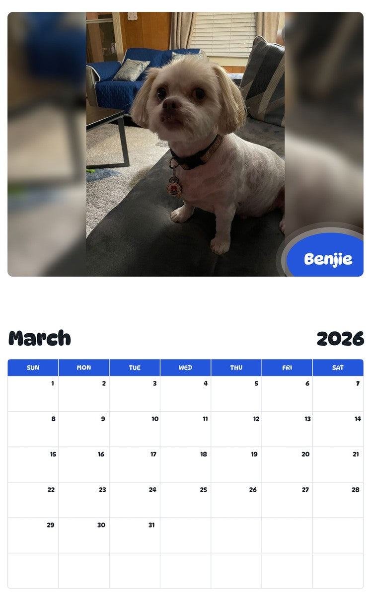 November 2025 - October 2026 Benjie - Pawidols Pet Calendar