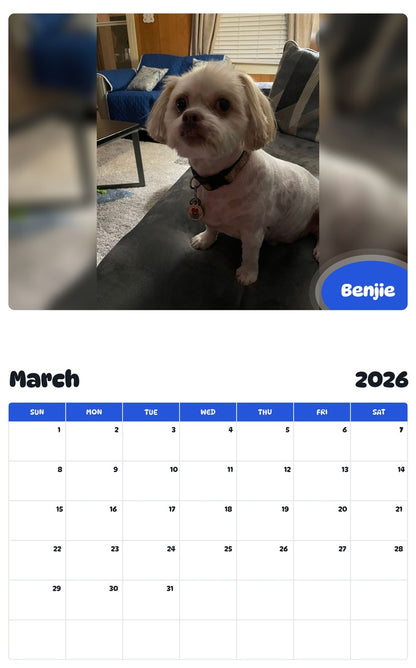 November 2025 - October 2026 Benjie - Pawidols Pet Calendar