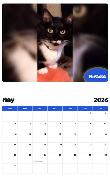 2026 - 2027 Miracle - Pawidols Pet Calendar