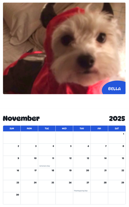 July 2025 - June 2026 Bella - Pawidols Pet Calendar