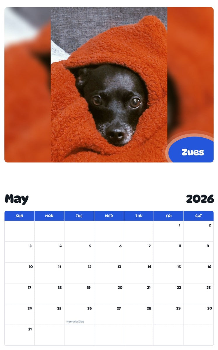 2026 - 2027 Zues - Pawidols Pet Calendar
