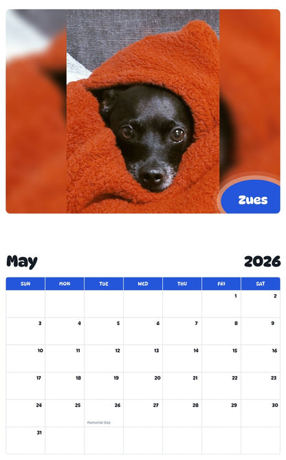2026 - 2027 Zues - Pawidols Pet Calendar