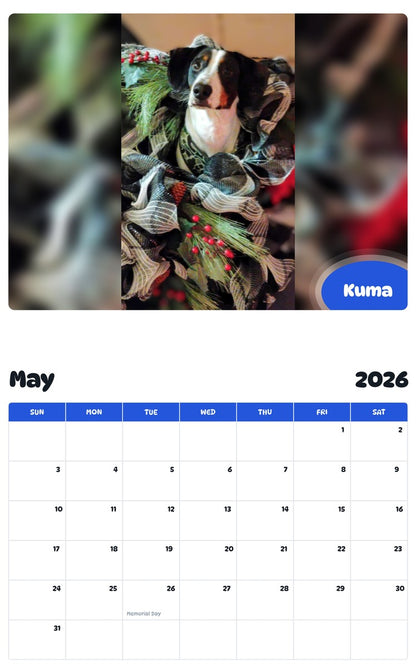 2026 - 2027 Kuma - Pawidols Pet Calendar