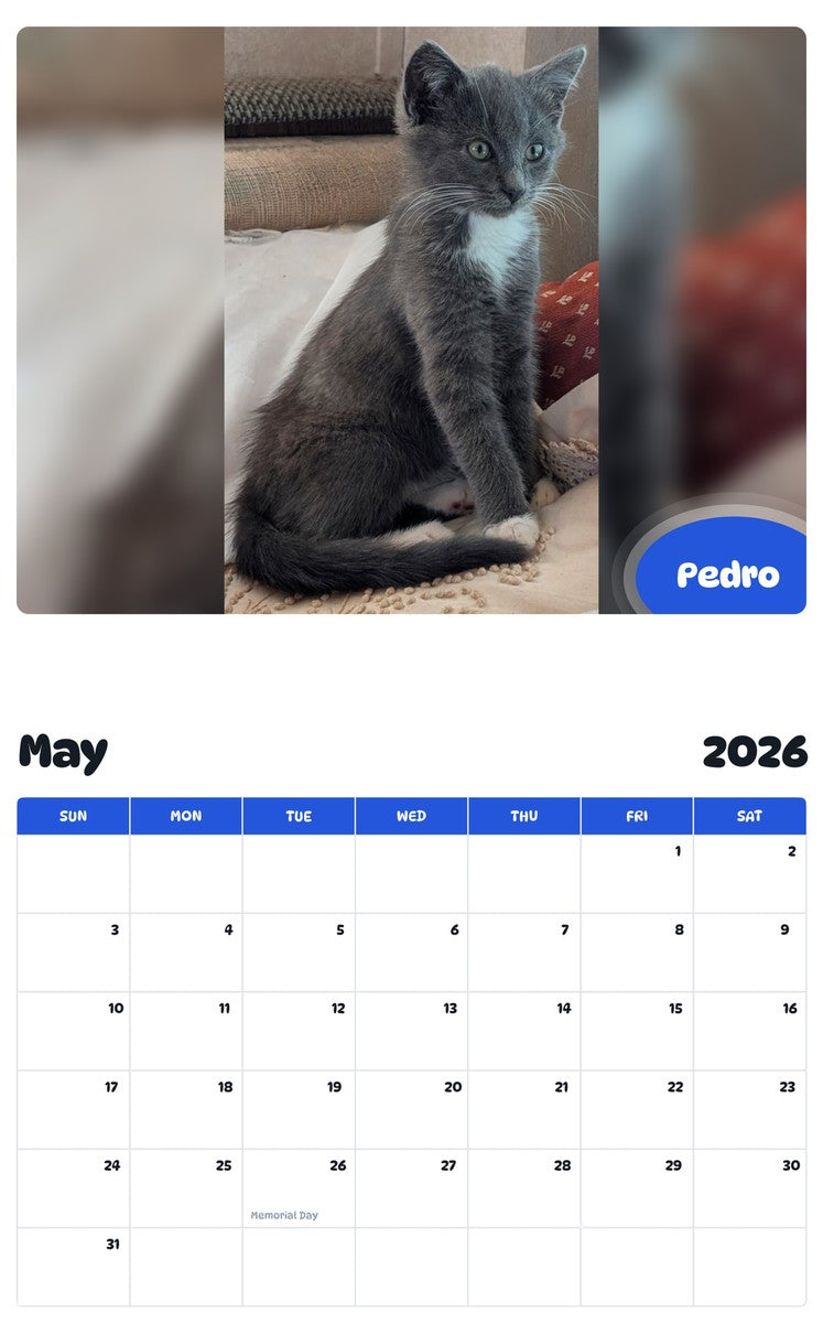 2026 - 2027 Pedro - Pawidols Pet Calendar