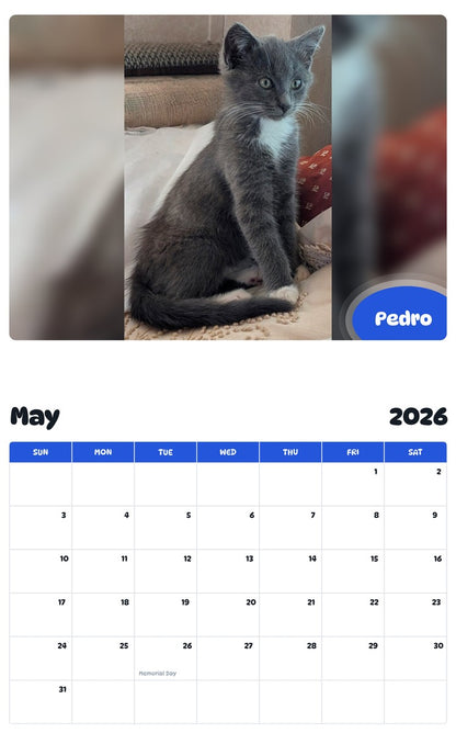 2026 - 2027 Pedro - Pawidols Pet Calendar