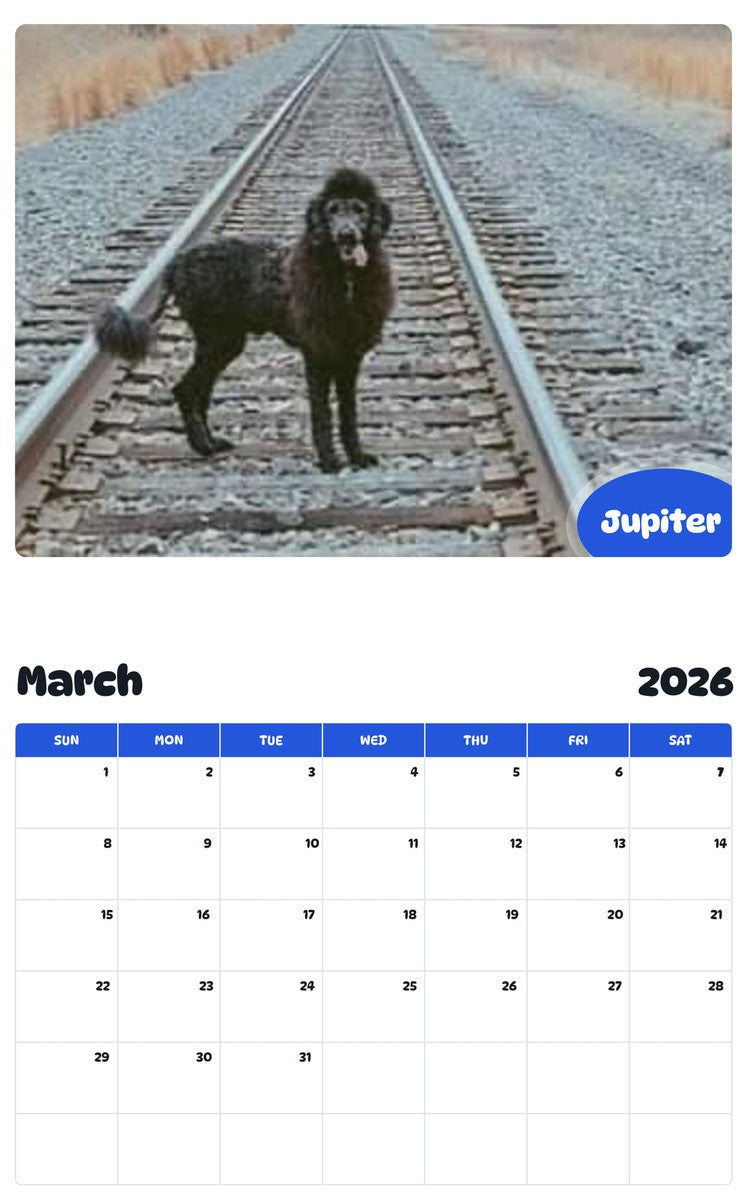November 2025 - October 2026 Jupiter - Pawidols Pet Calendar