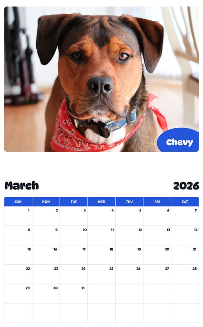 November 2025 - October 2026 Chevy - Pawidols Pet Calendar
