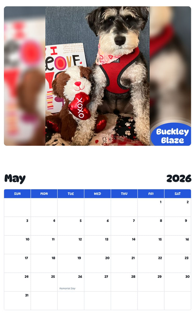 2026 - 2027 Buckley Blaze - Pawidols Pet Calendar
