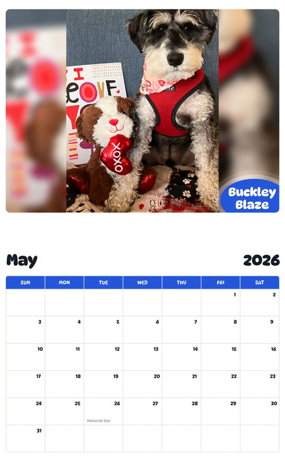 2026 - 2027 Buckley Blaze - Pawidols Pet Calendar