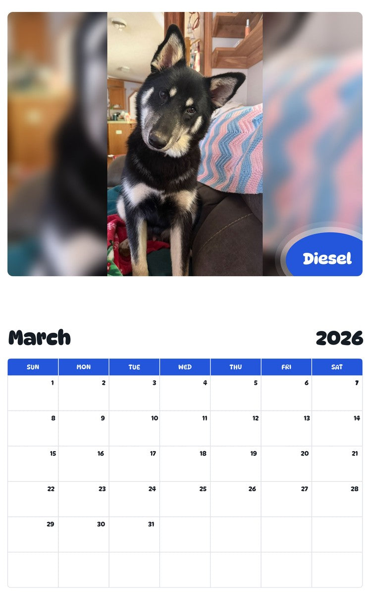 November 2025 - October 2026 Diesel - Pawidols Pet Calendar