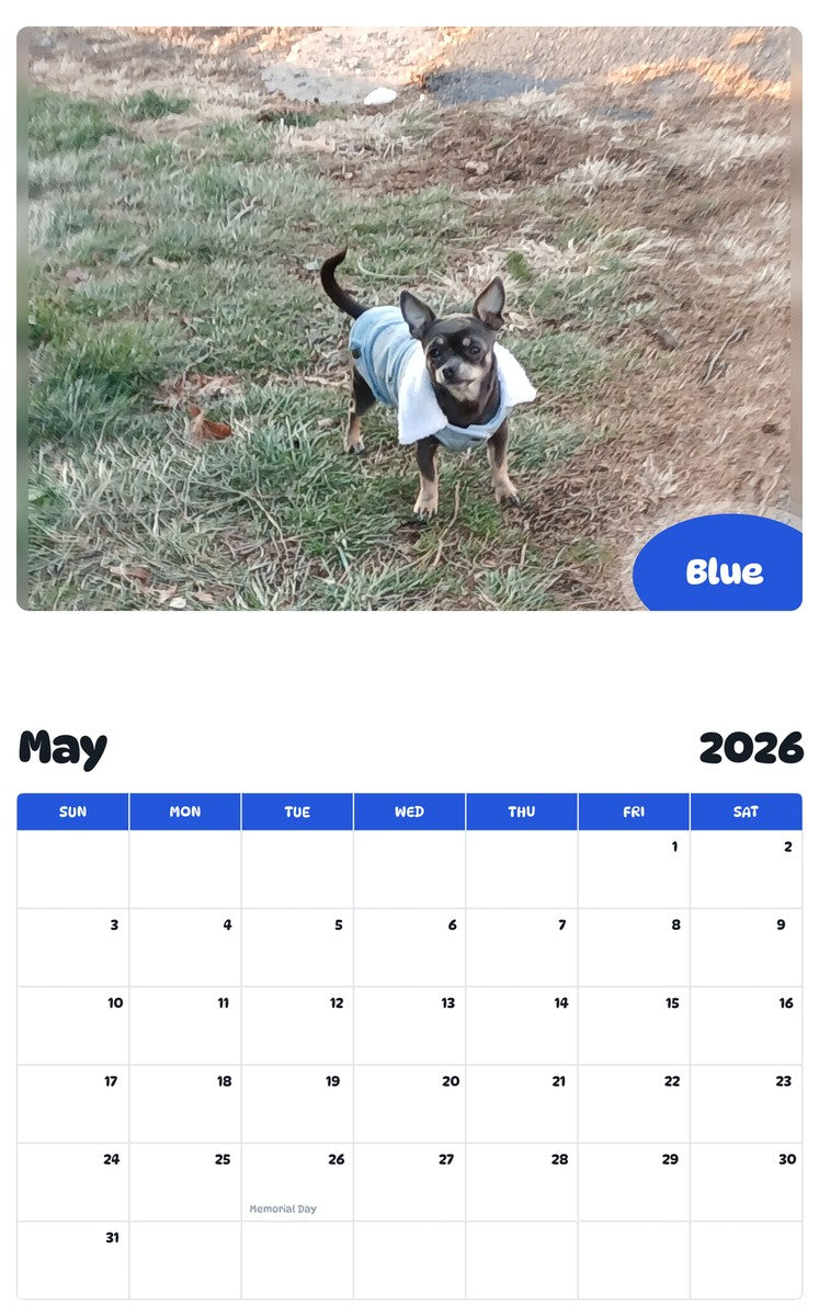 2026 - 2027 Blue - Pawidols Pet Calendar