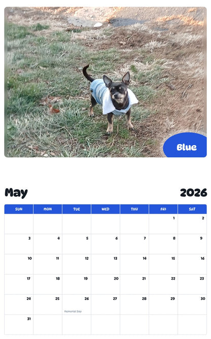 2026 - 2027 Blue - Pawidols Pet Calendar