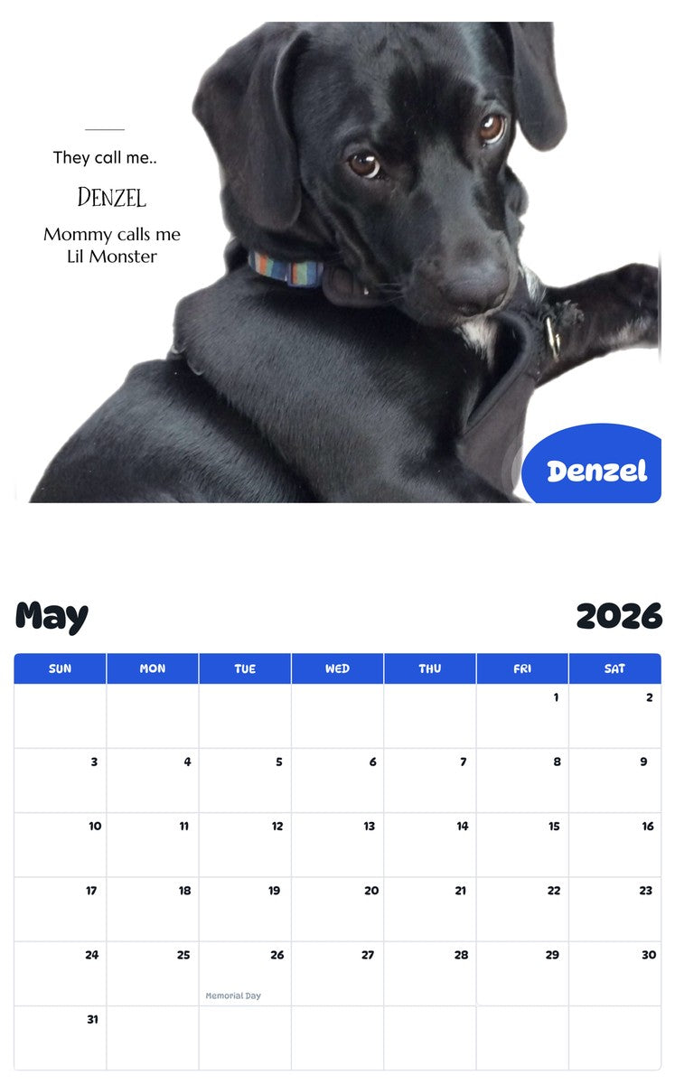 2026 - 2027 Denzel - Pawidols Pet Calendar