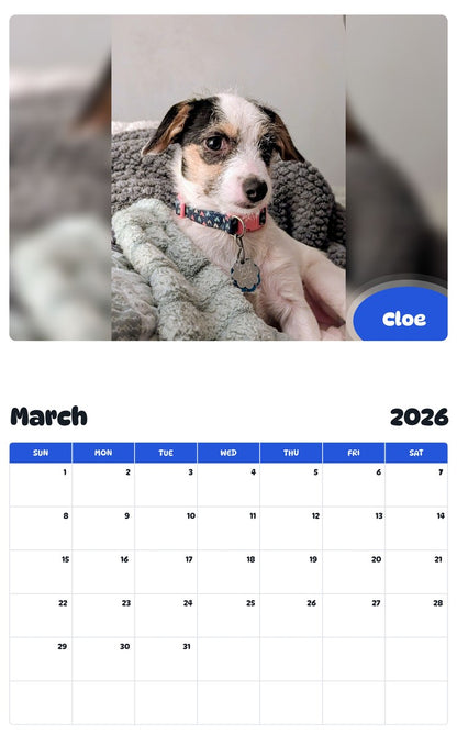 November 2025 - October 2026 Cloe - Pawidols Pet Calendar