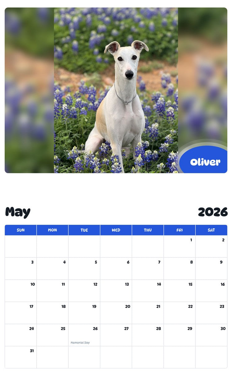 2026 - 2027 Oliver - Pawidols Pet Calendar