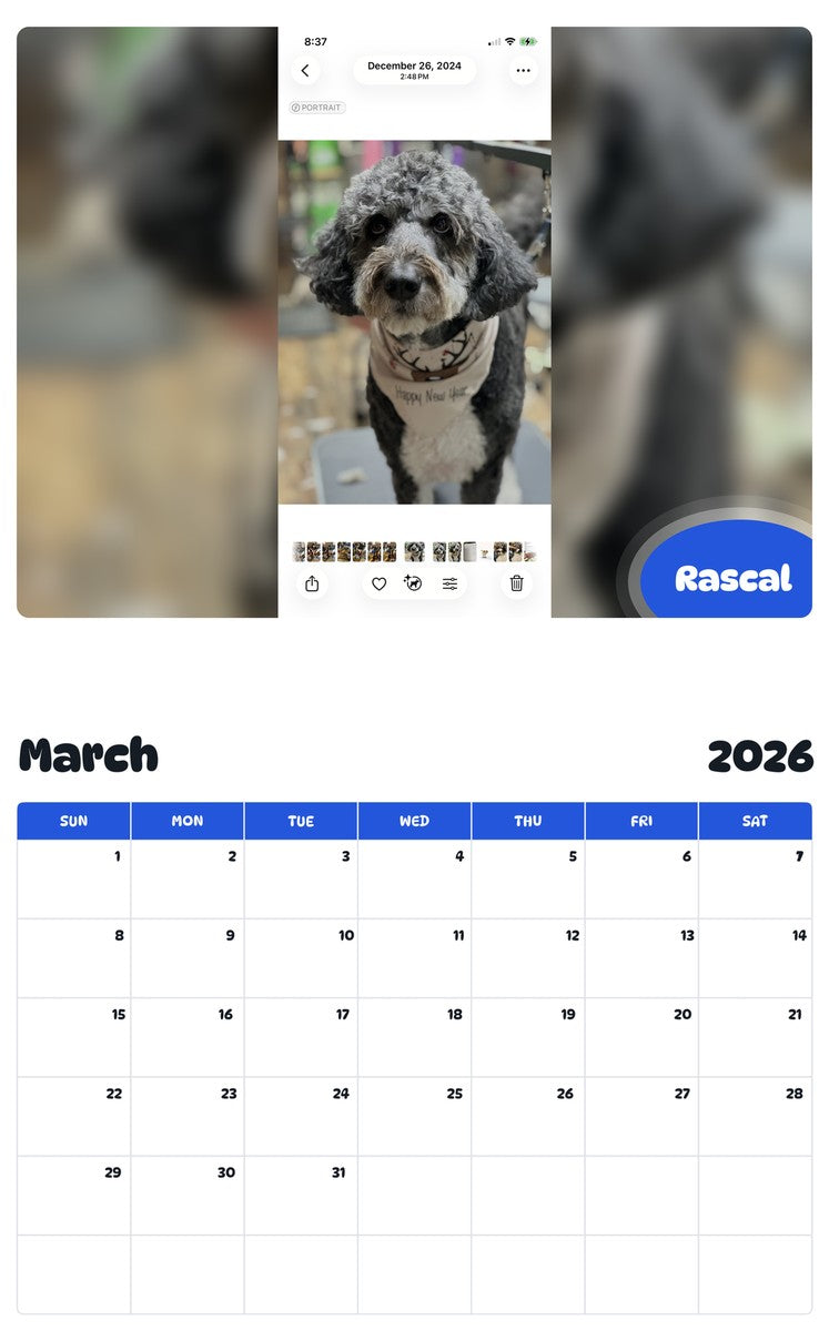November 2025 - October 2026 Rascal - Pawidols Pet Calendar
