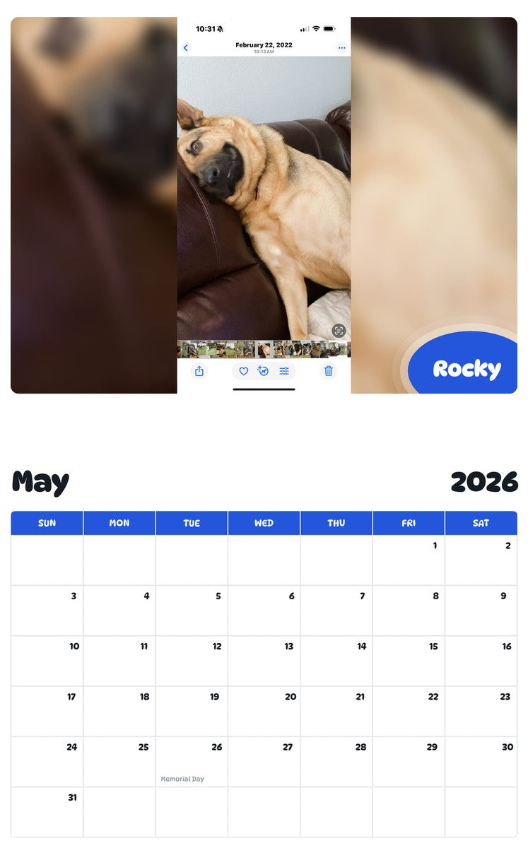 2026 - 2027 Rocky - Pawidols Pet Calendar