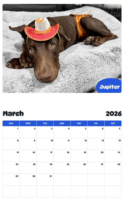 November 2025 - October 2026 Jupiter - Pawidols Pet Calendar