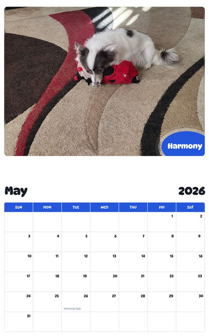 2026 - 2027 Harmony - Pawidols Pet Calendar