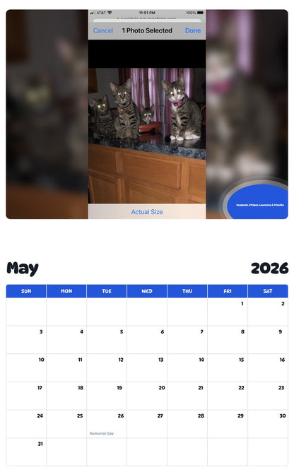 2026 - 2027 Benjamin, Striper, Lawrence & Priscilla - Pawidols Pet Calendar