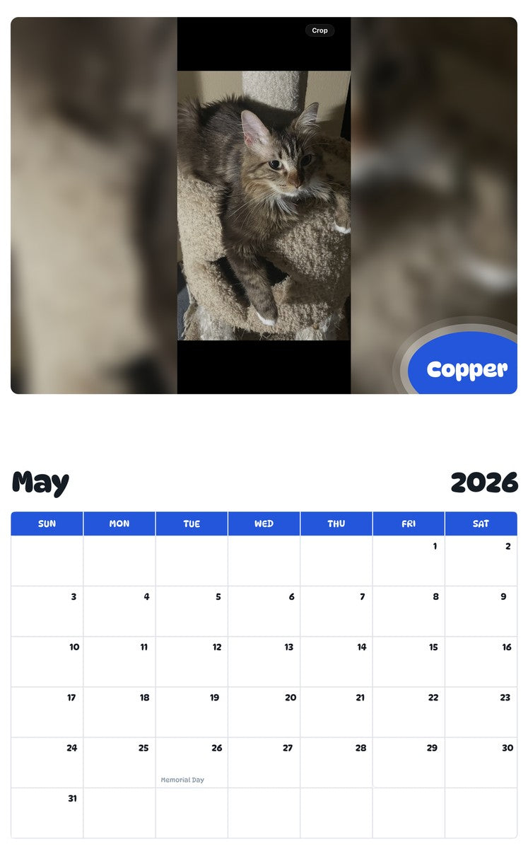 2026 - 2027 Copper - Pawidols Pet Calendar