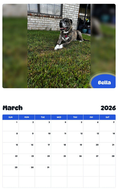November 2025 - October 2026 Bella - Pawidols Pet Calendar