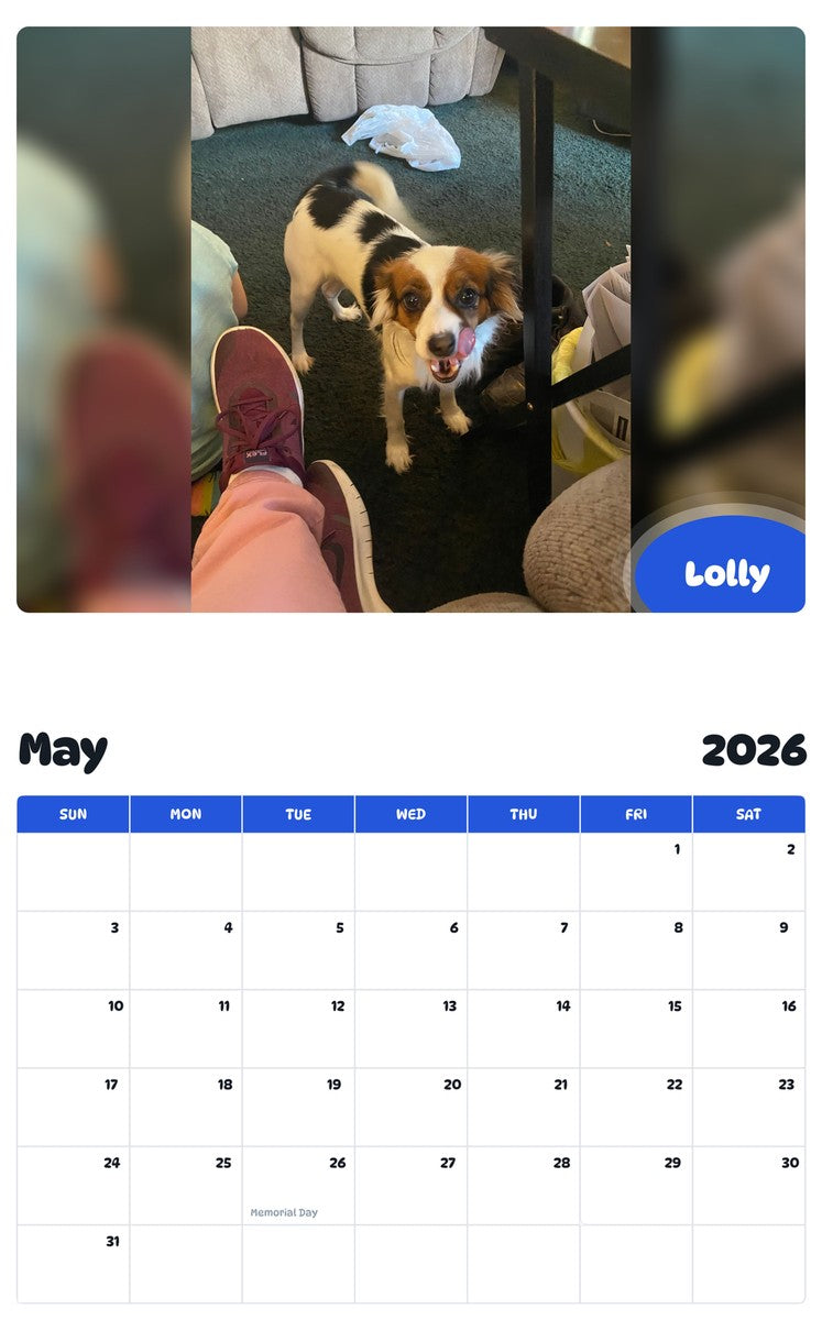 2026 - 2027 Lolly - Pawidols Pet Calendar
