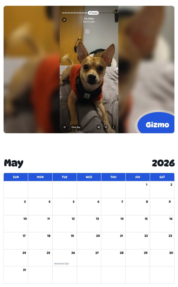 2026 - 2027 Gizmo - Pawidols Pet Calendar