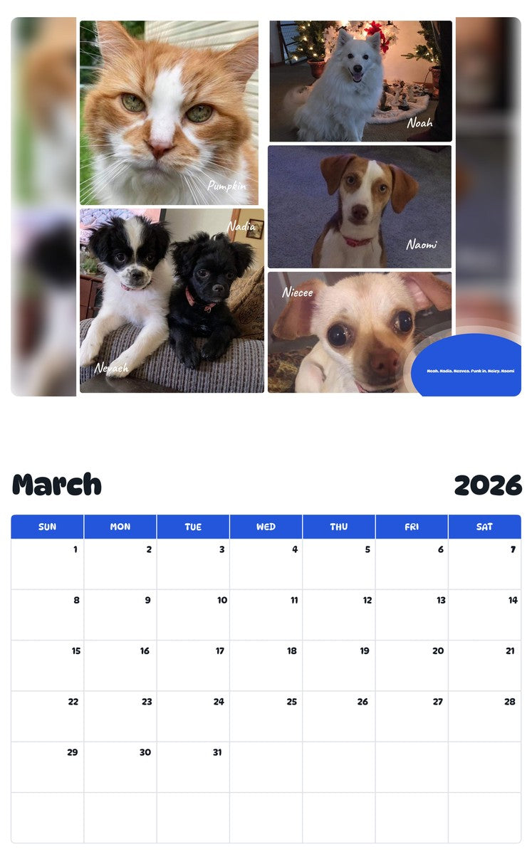 November 2025 - October 2026 Noah. Nadia. Nesvea. Punk in. Neicy. Naomi - Pawidols Pet Calendar