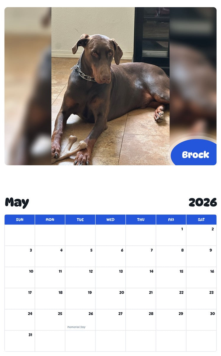 2026 - 2027 Brock - Pawidols Pet Calendar